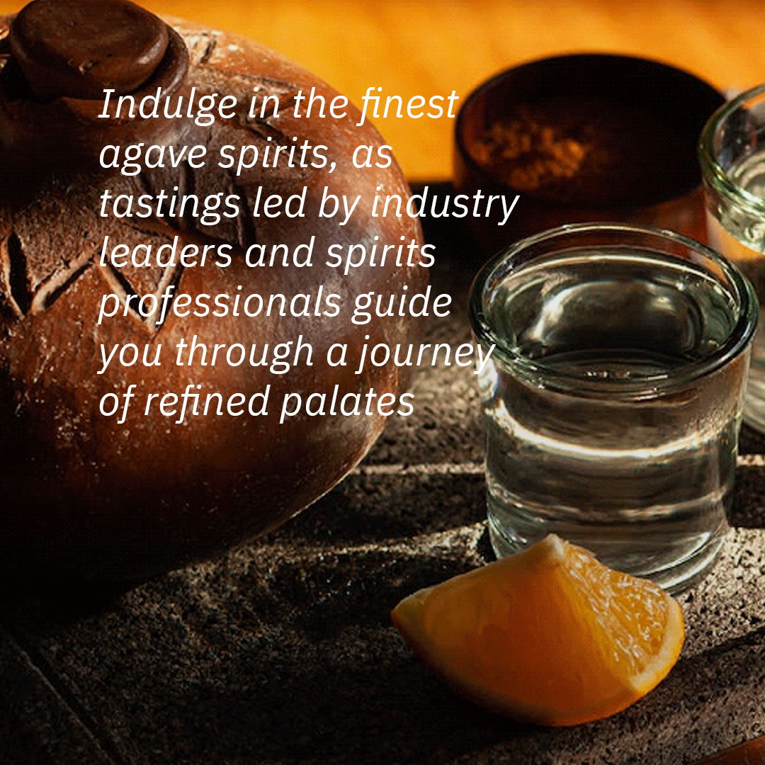 ShazeIndia's tweet photo. This 4-day festival celebrates all-things-agave.

Welcome to the world of hosting.
Know more- https://t.co/6NjmKV6H8i

#Shaze #hosting #agave #agaveheritagefeestival #agavespirits https://t.co/ev0d7FOzih