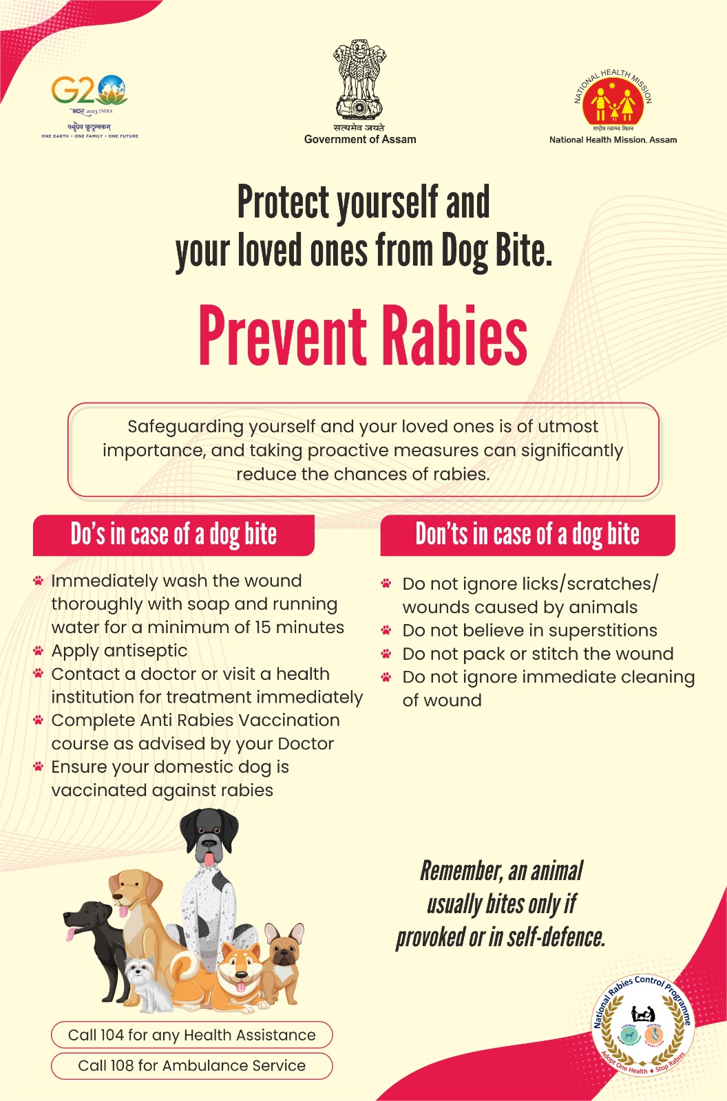 Do'S And Don'Ts After Dog Vaccination: Essential Tips