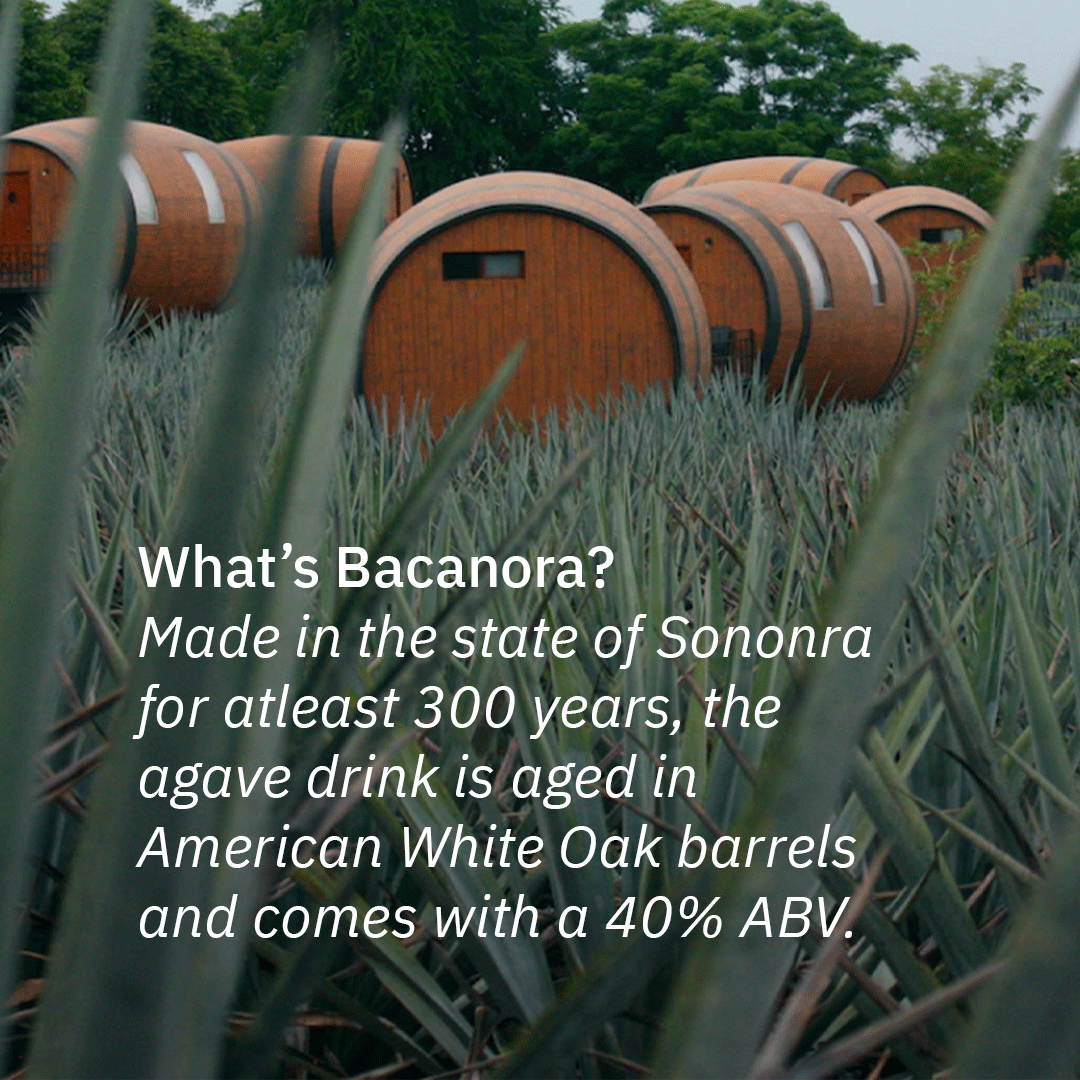 ShazeIndia's tweet photo. If you're looking for a new spirit to try, bacanora is definitely worth a shot. It's perfect for sipping neat, on the rocks, or in cocktails.

Welcome to the world of hosting!
Know more- https://t.co/6NjmKV6H8i

#Shaze #hosting #agave #agavespirits #bacanora #mezcal #tequilla https://t.co/xXKYaangTs
