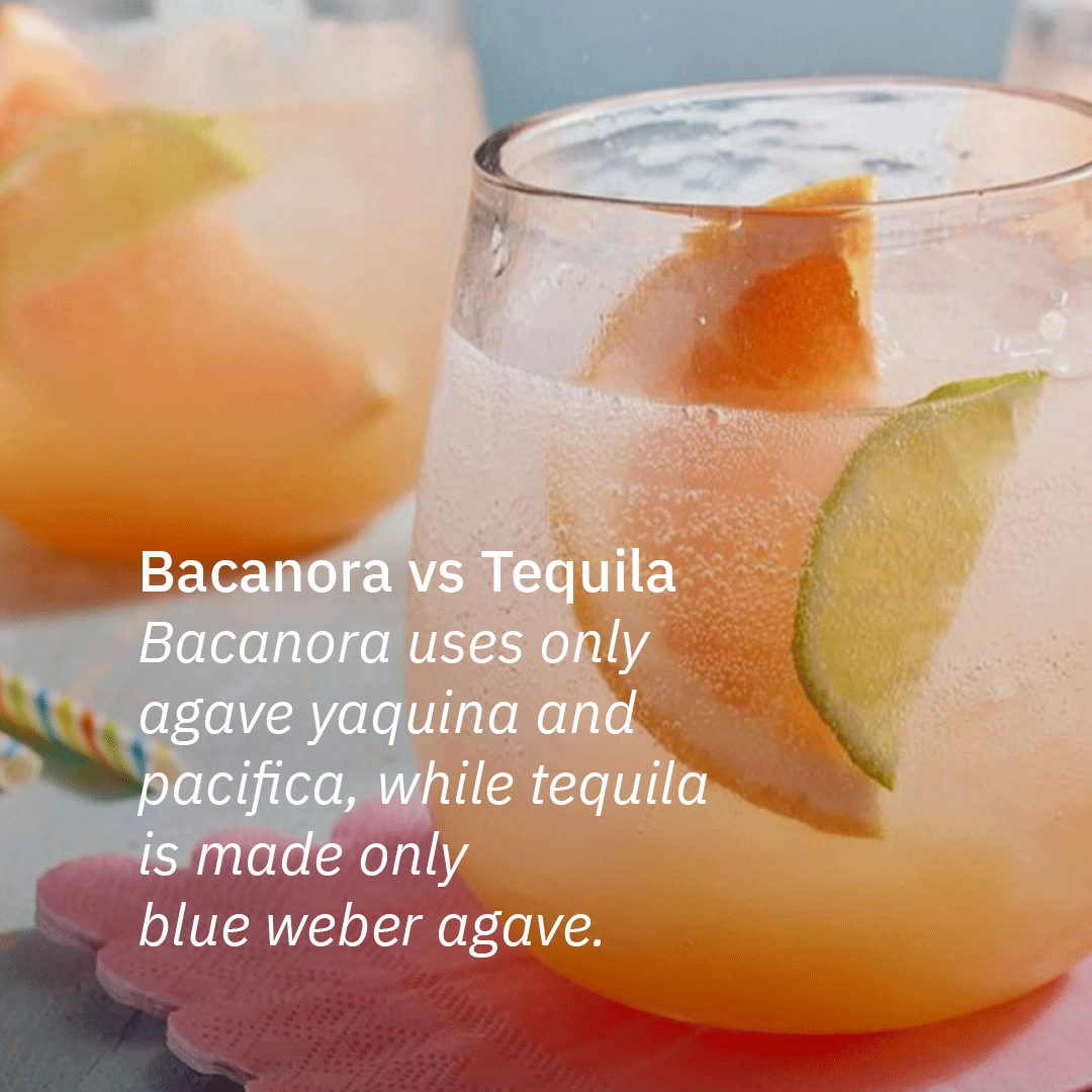 ShazeIndia's tweet photo. If you're looking for a new spirit to try, bacanora is definitely worth a shot. It's perfect for sipping neat, on the rocks, or in cocktails.

Welcome to the world of hosting!
Know more- https://t.co/6NjmKV6H8i

#Shaze #hosting #agave #agavespirits #bacanora #mezcal #tequilla https://t.co/xXKYaangTs