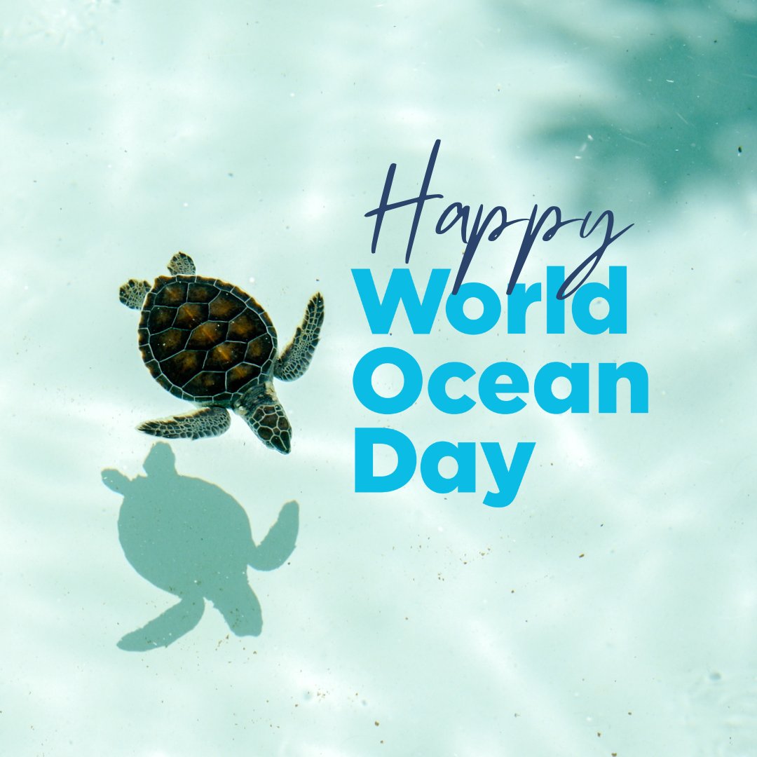 This #WorldOceanDay let’s show and grow support for the movement to protect at least 30% of our blue planet by 2030.
Together we can turn the tide, curb the climate crisis and protect biodiversity worldwide.
WorldOceanDay.org/30x30
#OceanClimateAction #30x30