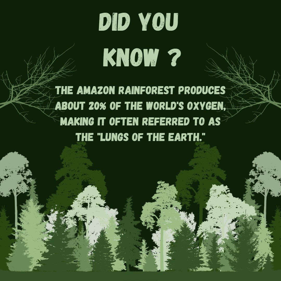 Synergie (@csrsynergie) on Twitter photo Breathe. Think. Act
#didyouknow #sustainable #enviornment #forest #lungs #gogreen #awareness #takeaction #esg #treeplanting #combat #climatechange Breathe. Think. Act
#didyouknow #sustainable #enviornment #forest #lungs #gogreen #awareness #takeaction #esg #treeplanting #combat #climatechange