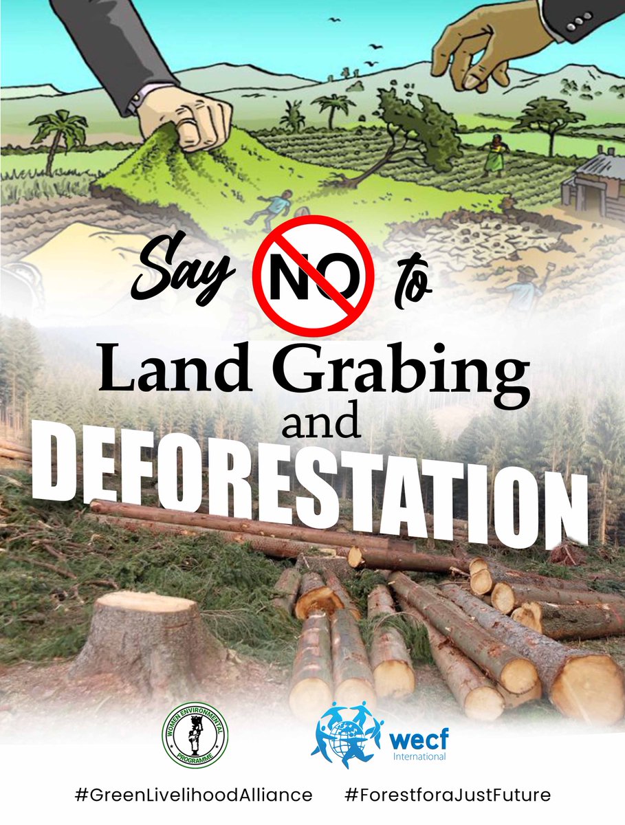 The government of @officialABAT must end landgrabing that is fuelling deforestation and threatening livelihoods of local communities in Nigeria.
#Forestandgenderintheagenda  #ClimateJustice  #GenderJustice  #WomenForForests  #ConservationChampions