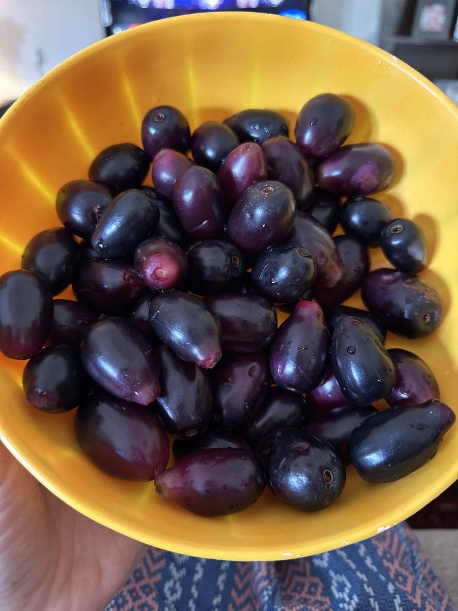 eramash's tweet image. Good morning! #jamun #javaplum