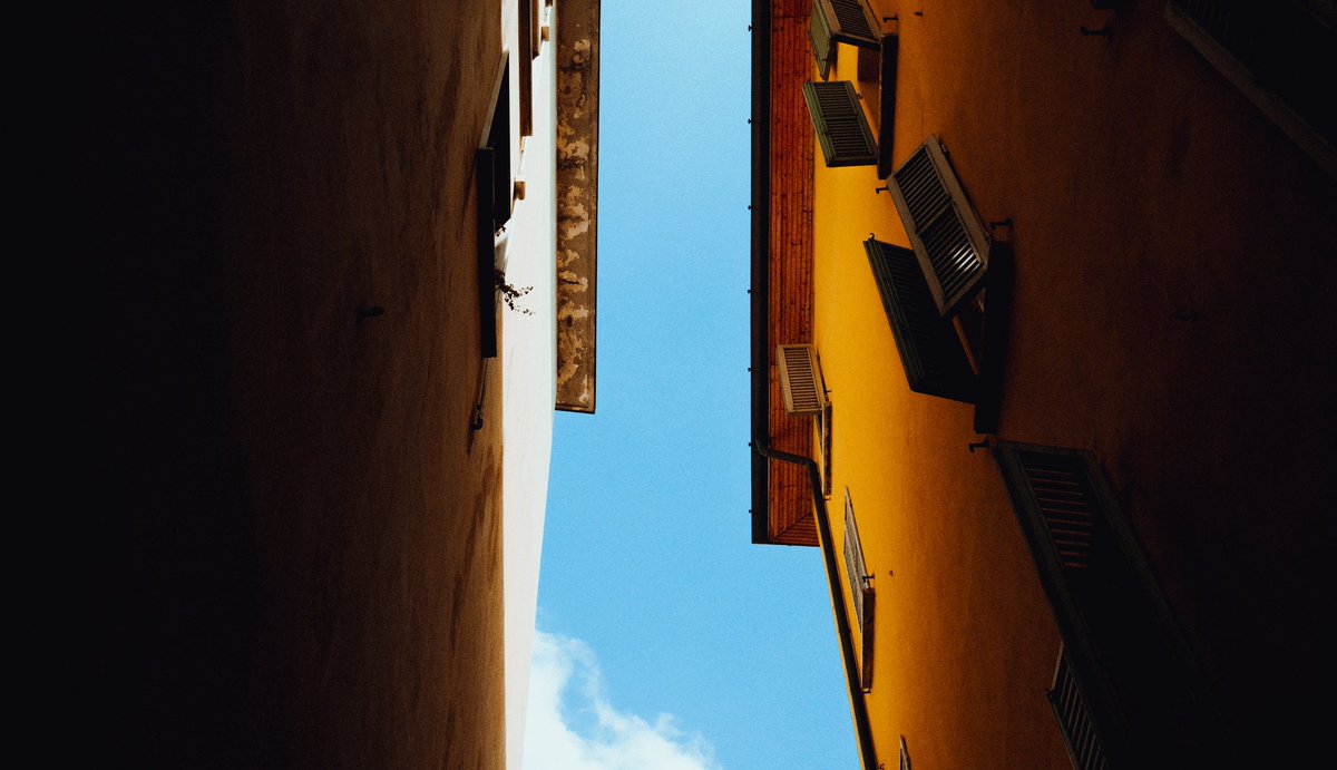 AviProjects's tweet image. 0014