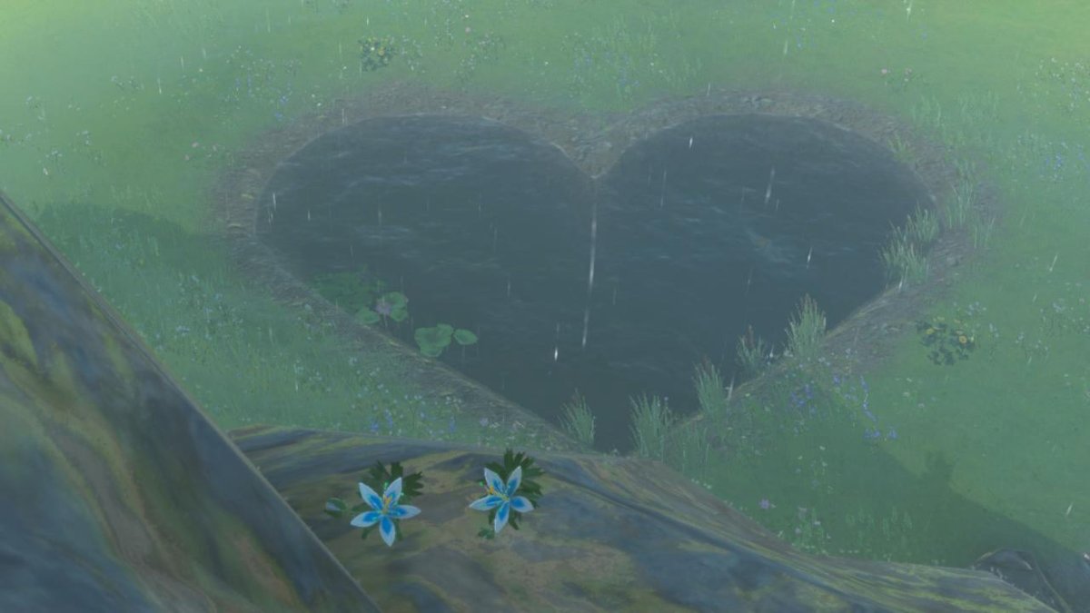 MallowMario's tweet photo. #TearsOfTheKingdom #Zelda #NintendoSwitch https://t.co/ucp49dLl7p