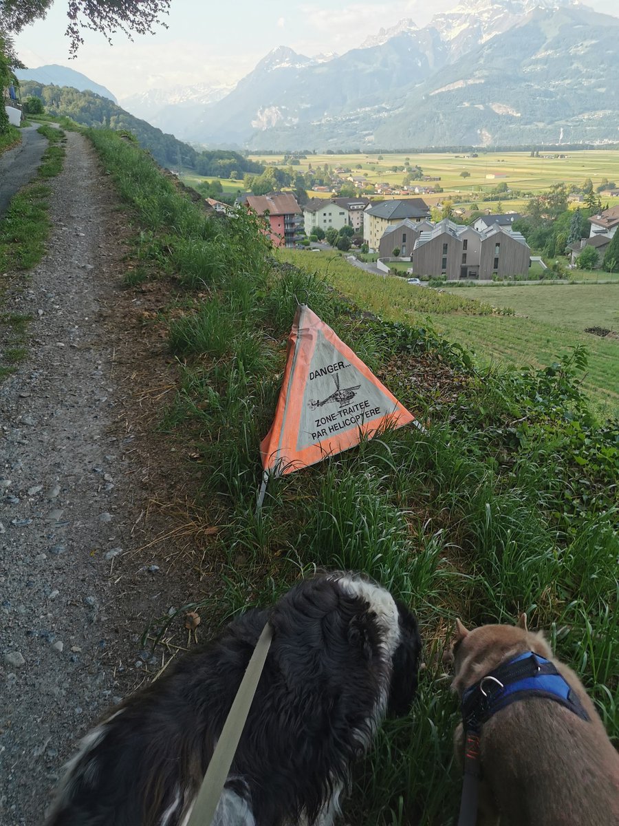 MoselleHunt's tweet image. Ça rigole pas par ici 😂.

#Traitement #Vignes #ChassePartage #Suisse