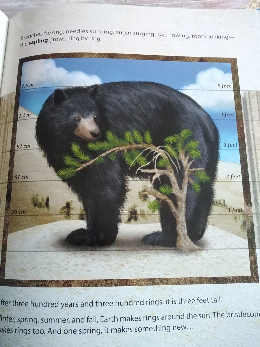 Lisa loves trees 🌳🌱🌿🦎 (@lipstikgeology) on Twitter photo Superb, stunning book 😍❤️ majestic tree and cool science #trees #science @MarloWordyBird <a href="/WebOfLifeBooks/">Web of Life Children's Books</a> Superb, stunning book 😍❤️ majestic tree and cool science #trees #science @MarloWordyBird <a href="/WebOfLifeBooks/">Web of Life Children's Books</a>