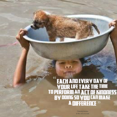 #RandomActofKindness #Kindness #KindnessMatters #animals #AnimalsLover