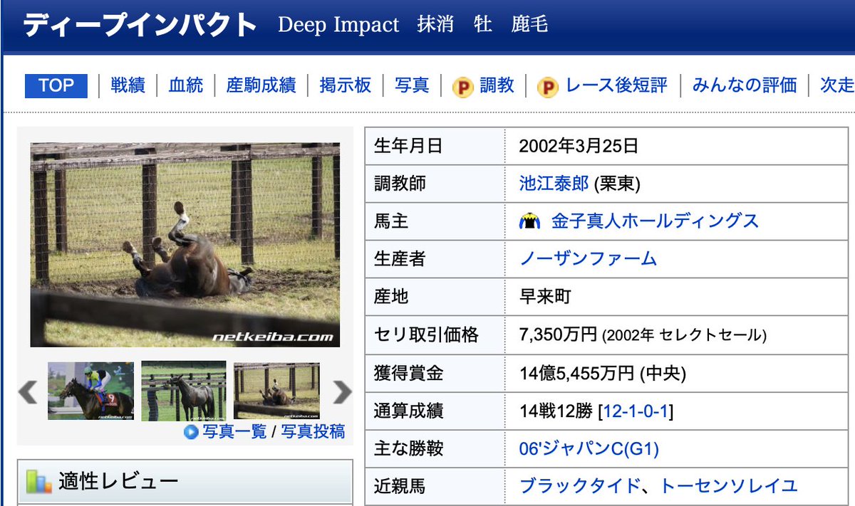 hachimitucom's tweet photo. ディープインパクトの成績見たくてnetkeiba開いたらこんな写真だったんだけどwwwwwwwwwwwwwwwww

@netkeiba https://t.co/Un5MESxAqC