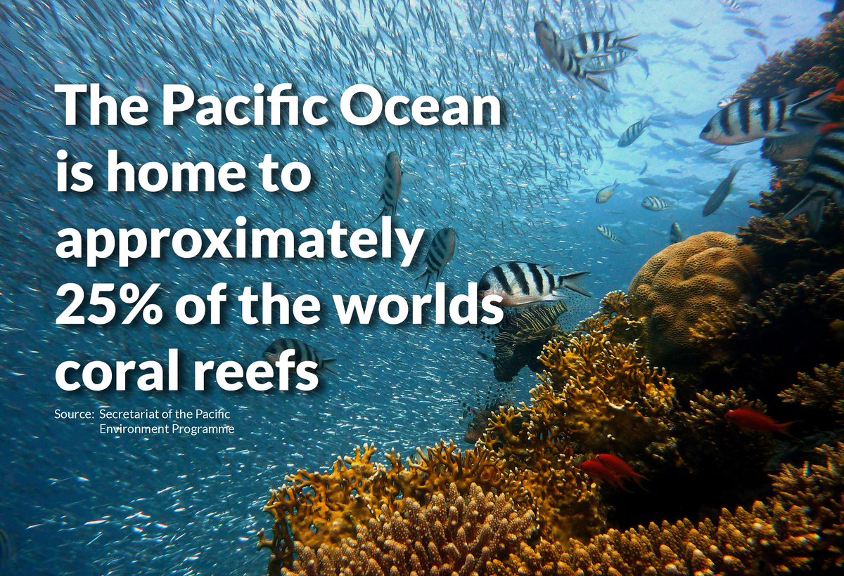 UNinFiji's tweet photo. The Pacific, home to 25% of the world's coral reefs and many coral reef species, faces grave threats.

In the lead-up to #WorldOceansDay, let's change the tide by taking action to preserve and restore the Pacific Ocean's splendour.

#protectpacificenvironments #tidesarechanging https://t.co/FEKXzf9uTP