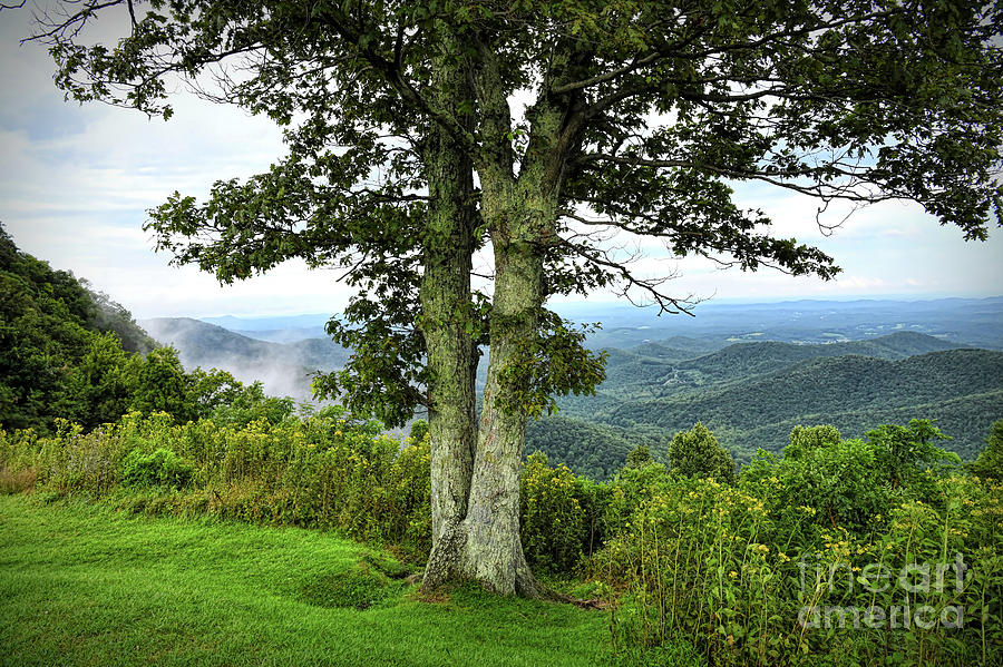 KerriFar's tweet image. "Every mountain top is within reach if you just keep climbing." - Barry Finlay - ow.ly/P5ki50OEQuP ~ #BlueRidgeParkway #VirginiaViews #FloydVA ~ ow.ly/9mmV50OEQuO