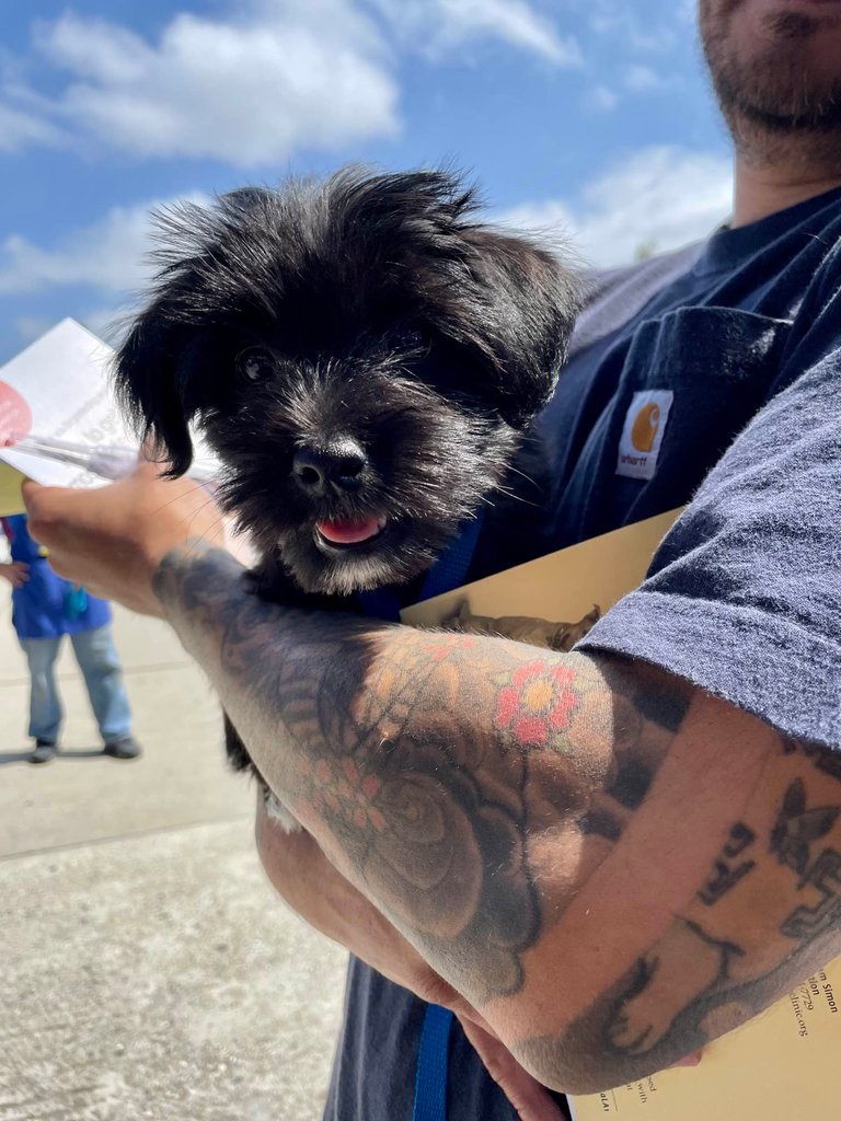 We had a blast at the @CityofLawndale Pet Fair! We met so many pet parents. In fact, we vaccinated 185 dogs and 53 cats! Thanks to everyone who came out for pet health, and a big thank you to our staff and volunteers for pulling it off 👏

#Since1877 #FriendsforLife #spcaLA