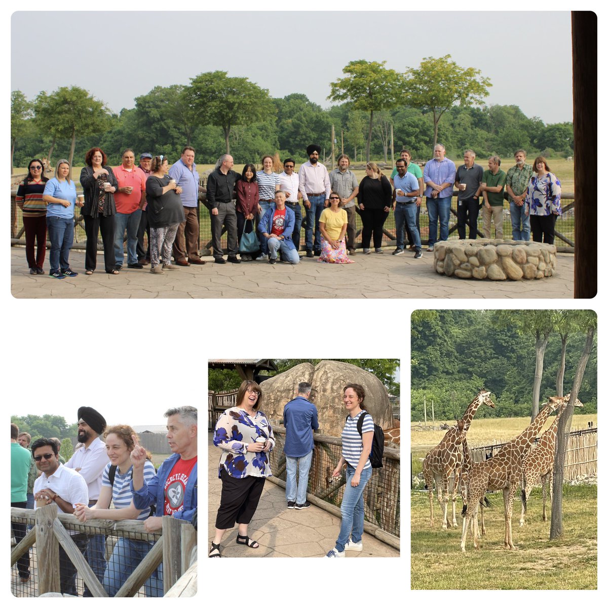 The Ohio State Univ. Physiology and Cell Biology (@ohiostatepcb) on Twitter photo Amazing day at the Columbus Zoo for the PCB department Retreat! Lots of great ideas and exciting things to work on. The future is bright for PCB! Thanks to all the faculty, although the giraffes might have stolen the show 🙂<a href="/OhioStateDHLRI/">OhioStateDHLRI</a> <a href="/OSUWexMed/">The Ohio State University Wexner Medical Center</a> <a href="/OhioStateMed/">The Ohio State University College of Medicine</a> Amazing day at the Columbus Zoo for the PCB department Retreat! Lots of great ideas and exciting things to work on. The future is bright for PCB! Thanks to all the faculty, although the giraffes might have stolen the show 🙂<a href="/OhioStateDHLRI/">OhioStateDHLRI</a> <a href="/OSUWexMed/">The Ohio State University Wexner Medical Center</a> <a href="/OhioStateMed/">The Ohio State University College of Medicine</a>