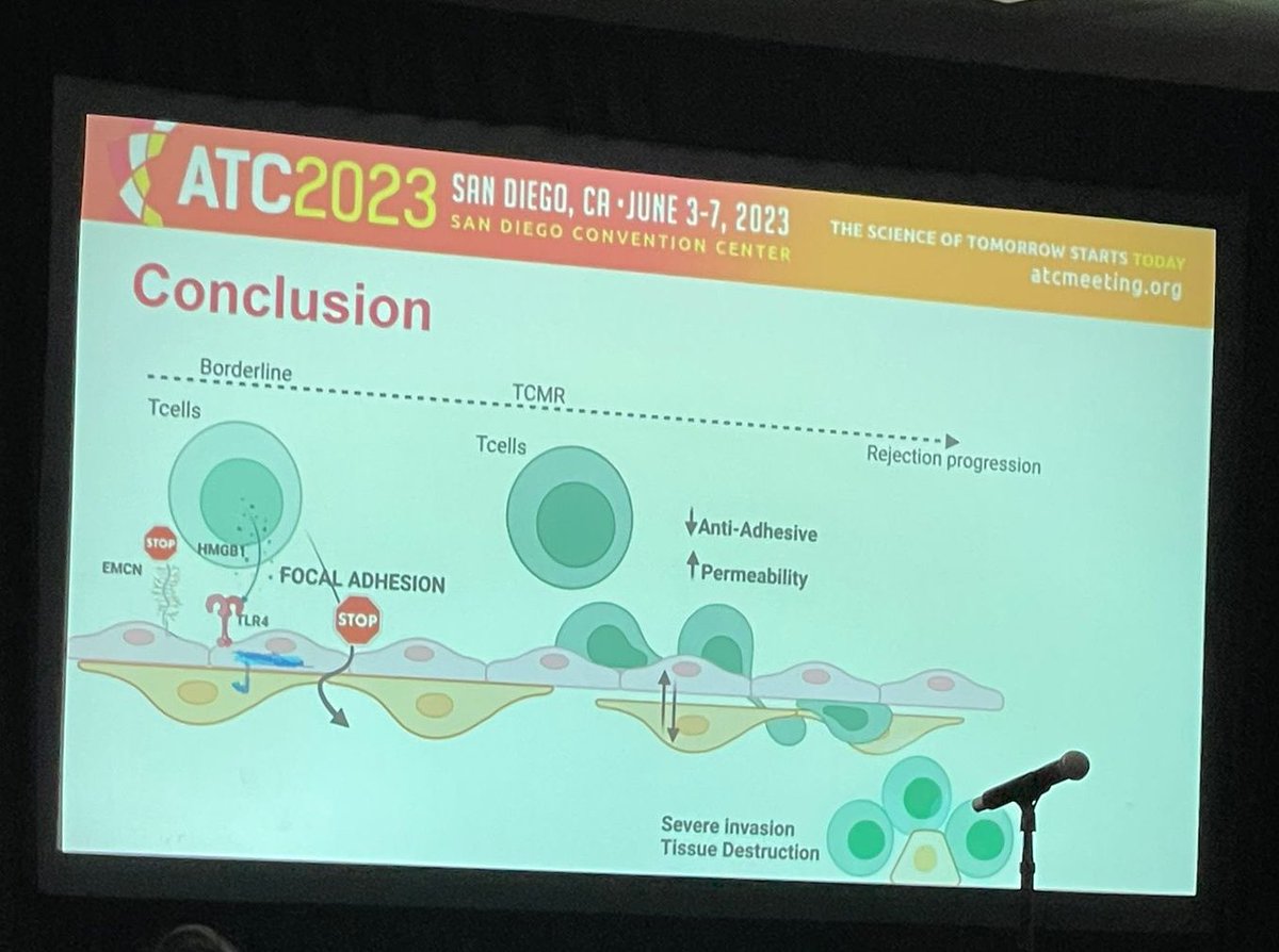 Amazing experience presenting at #ATC2023SanDiego <a href="/ATCMeeting/">AmericanTransplantCongress</a>. Always possible when you have great mentor and teammates! <a href="/azzilab/">J.Azzilab</a>