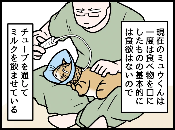 我が家で始まる看病生活! ↑のURLから漫画の最新話ページに移動できます 今の話はいまとぴ版と同時更新の為、時系列がズレますのでリンク先の 「ライブドアブログ4月13日ミュウくん、なんか体調おかしい?の巻」から読んでいただくことをお勧めいたします