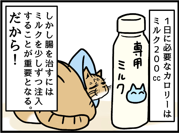 我が家で始まる看病生活! ↑のURLから漫画の最新話ページに移動できます 今の話はいまとぴ版と同時更新の為、時系列がズレますのでリンク先の 「ライブドアブログ4月13日ミュウくん、なんか体調おかしい?の巻」から読んでいただくことをお勧めいたします