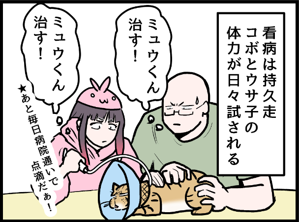 我が家で始まる看病生活! ↑のURLから漫画の最新話ページに移動できます 今の話はいまとぴ版と同時更新の為、時系列がズレますのでリンク先の 「ライブドアブログ4月13日ミュウくん、なんか体調おかしい?の巻」から読んでいただくことをお勧めいたします