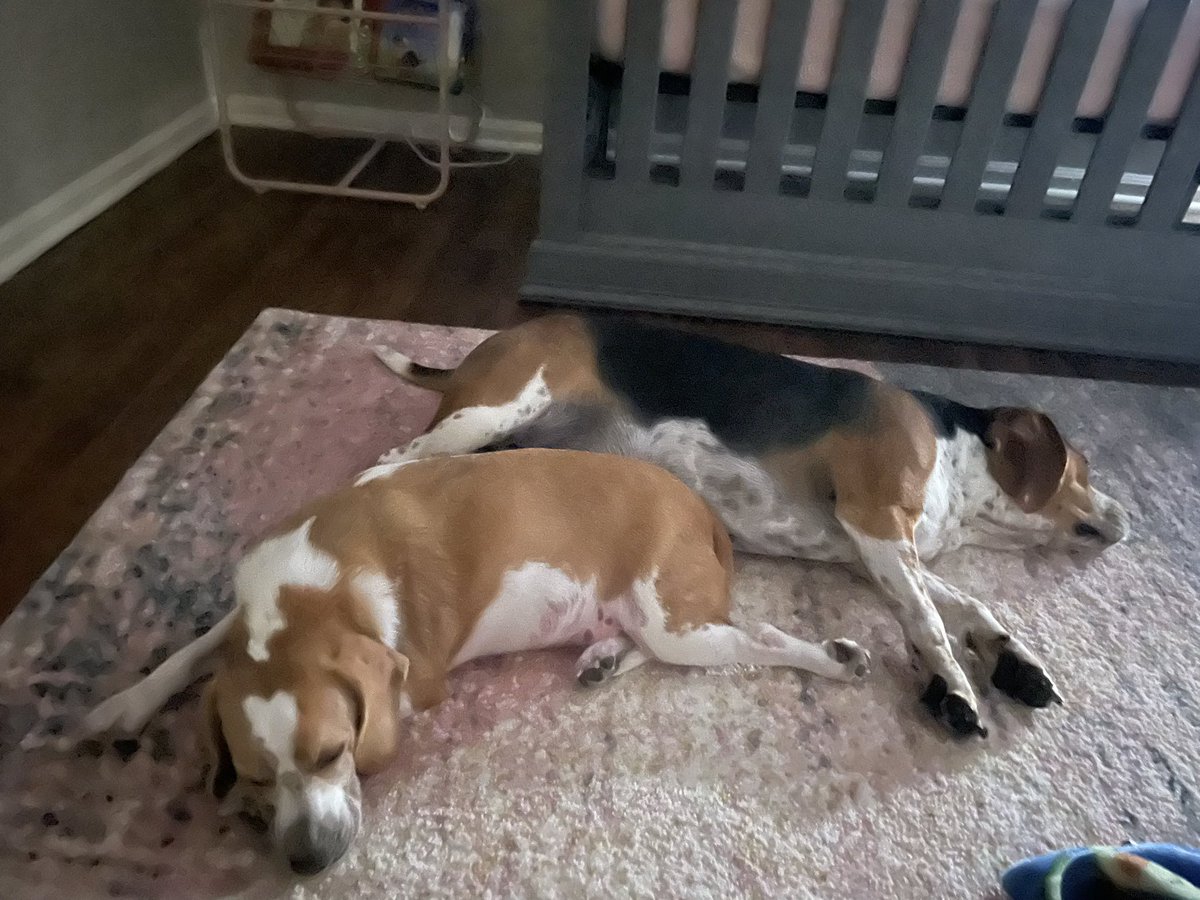 Corey Beagz tweet media