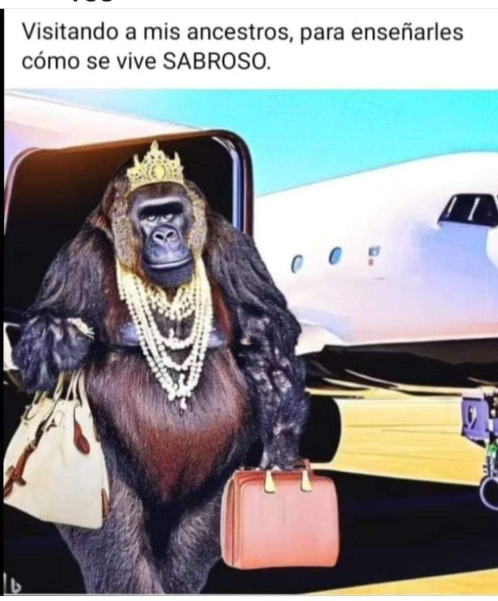 bearganner's tweet photo. @reymon1989 @FranciaMarquezM @JEP_Colombia @ViceColombia https://t.co/A0TxgSfw60