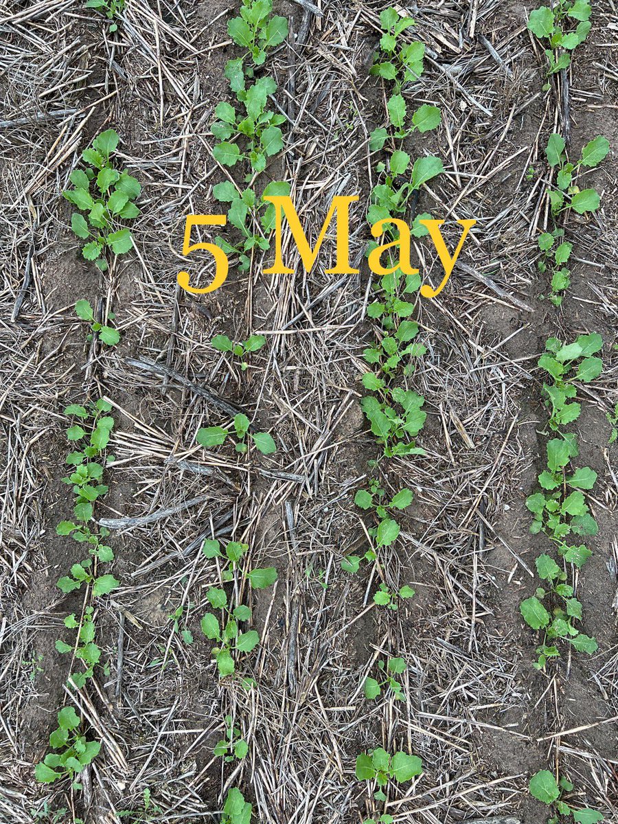 Kenton Porker tweet media