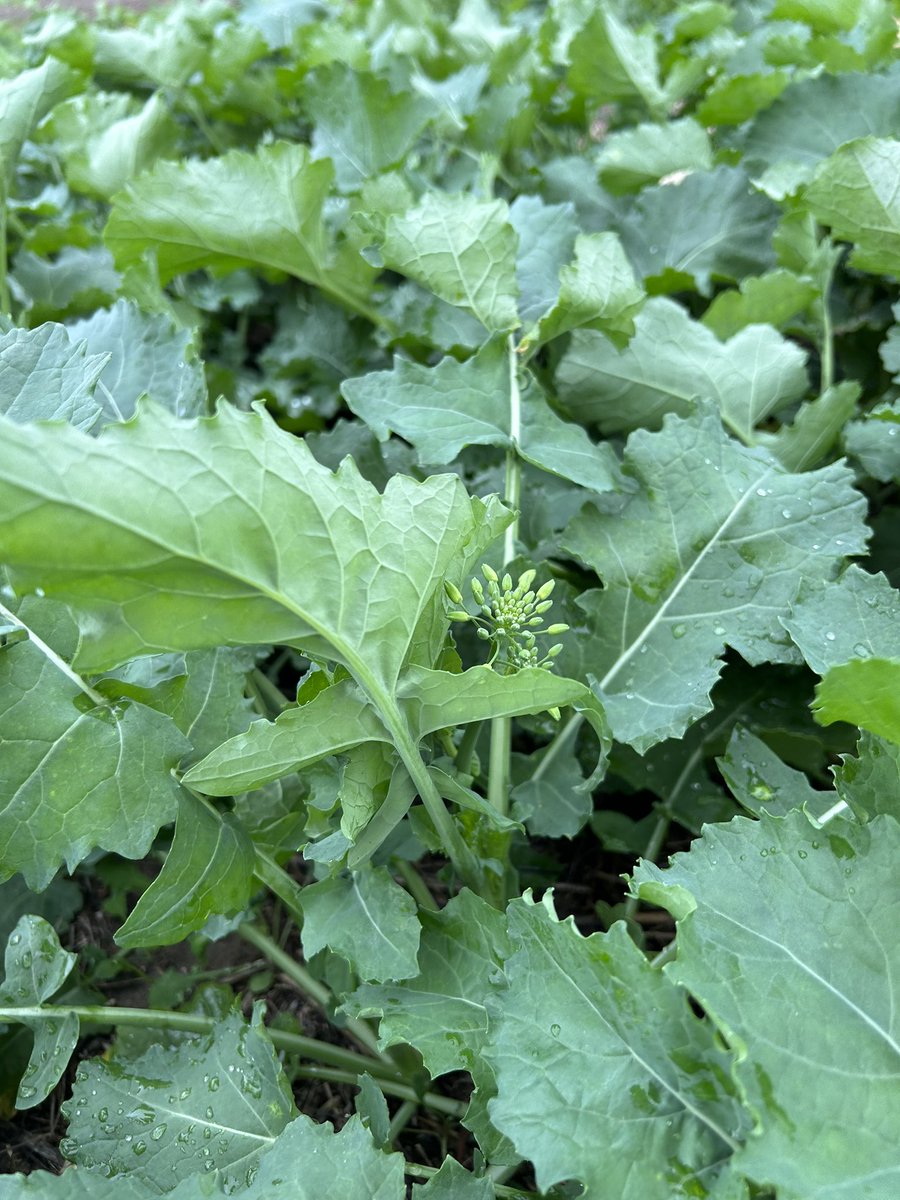 Kenton Porker tweet media