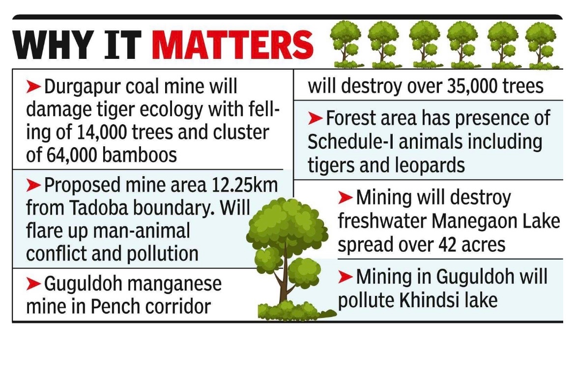 Either we stop cribbing about climate change or stand up to protect each and every tree

m.timesofindia.com/city/nagpur/fo…

@vijaypTOI @TandonRaveena @RandeepHooda @ranjeetjadhav