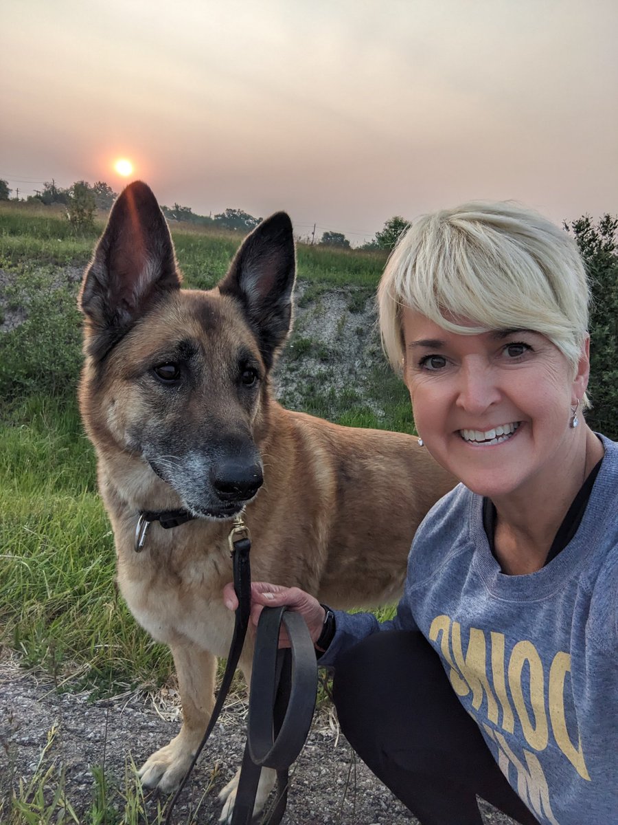 ThrivewithMilka's tweet image. #walkrun #moveyourbody #ibd #colitis #exercise #beatinflammation #malinois #GSD #sunset