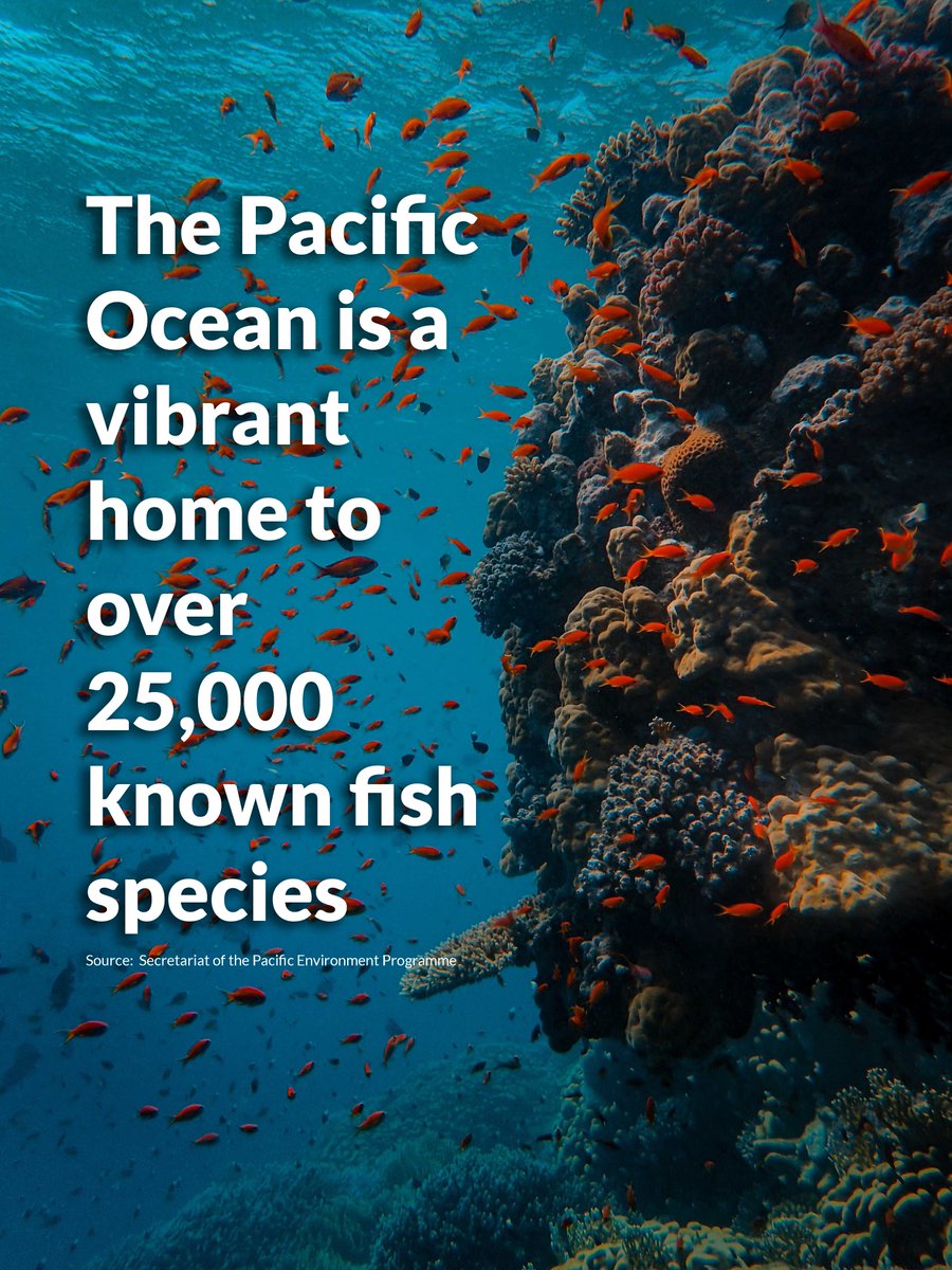 UNinFiji's tweet photo. #DYK the Pacific is home to 25,000+ fish species? From vibrant coral reefs to majestic creatures, it's a treasure trove of life.
Join the movement to #ProtectPacificEnvironments this #WorldOceansDay &amp; ensure a thriving future for our oceans.
#tidesarechanging #noplasticpacific https://t.co/a96oS3qX0Y