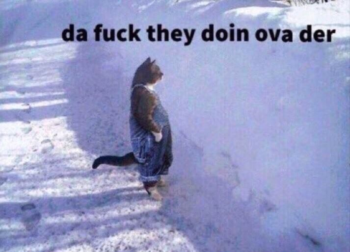 Kick Recap tweet media