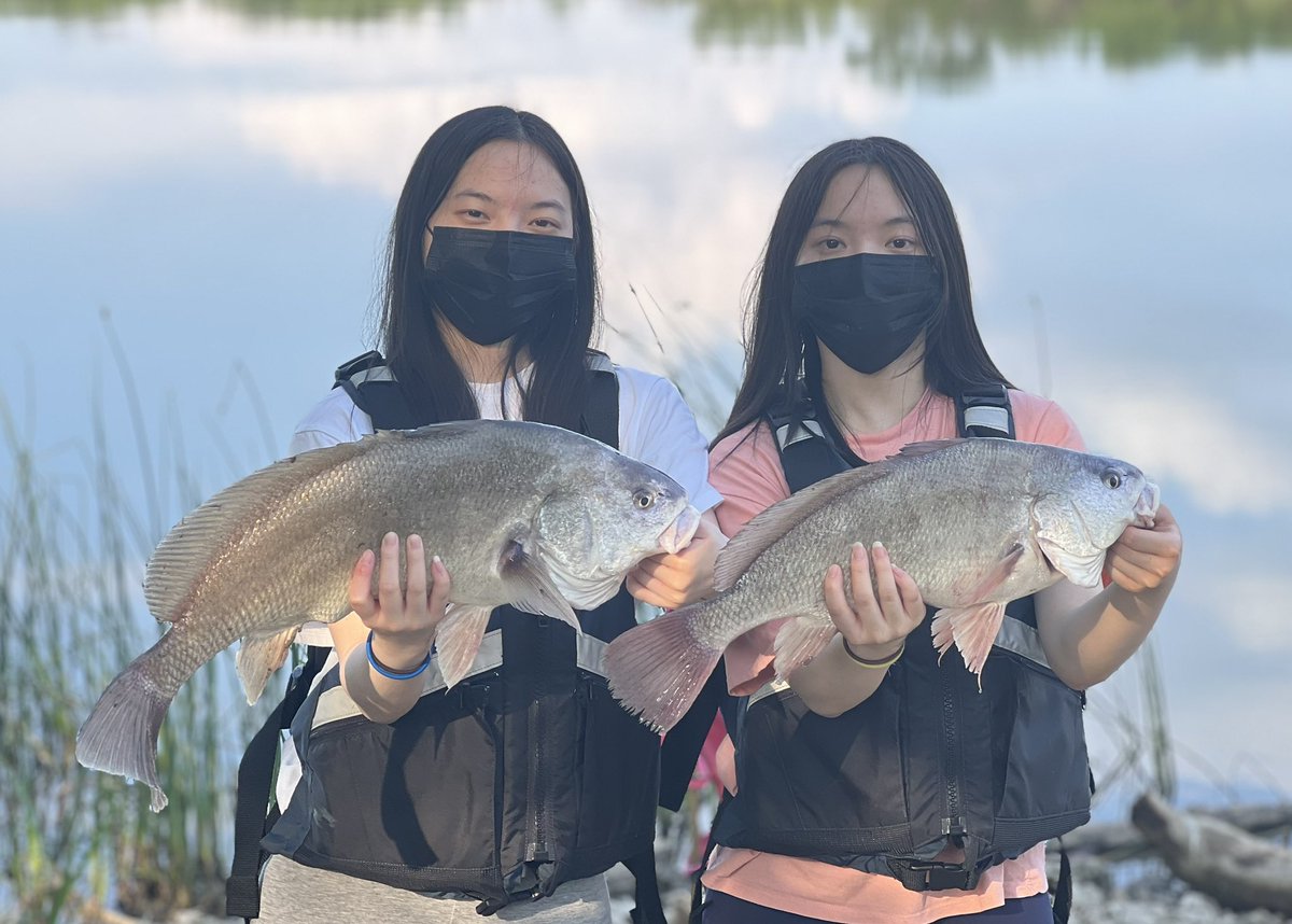 McIntyre Anglers tweet media