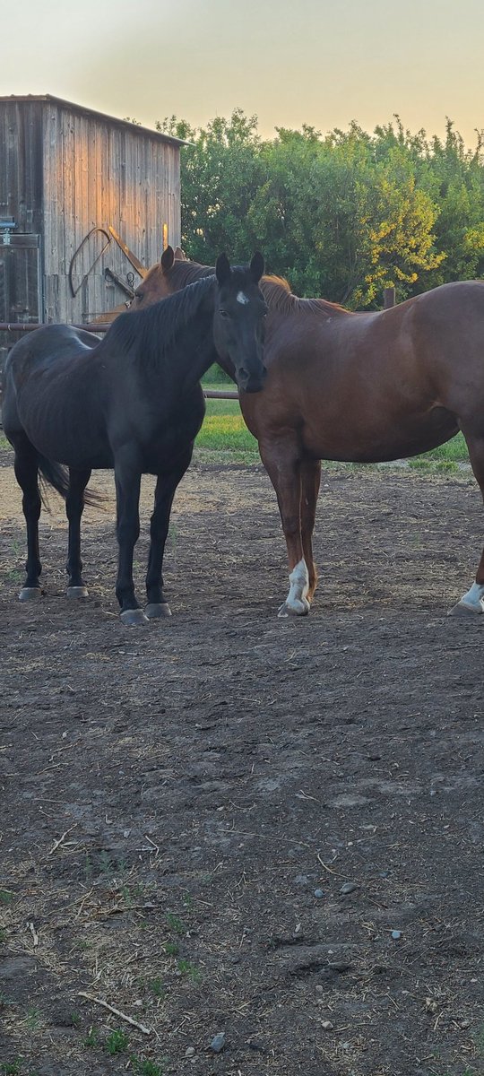 mmmicsynccc's tweet image. 