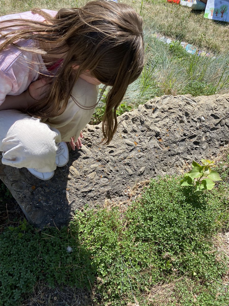 Out in our Garden exploring the many gifts it has to offer. Today the fossils caught our interest.