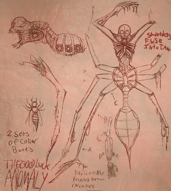 The_Good_Luck_Anomaly tweet media