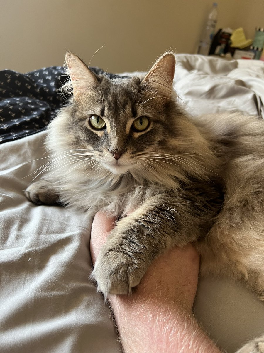 Ben Magnet tweet media