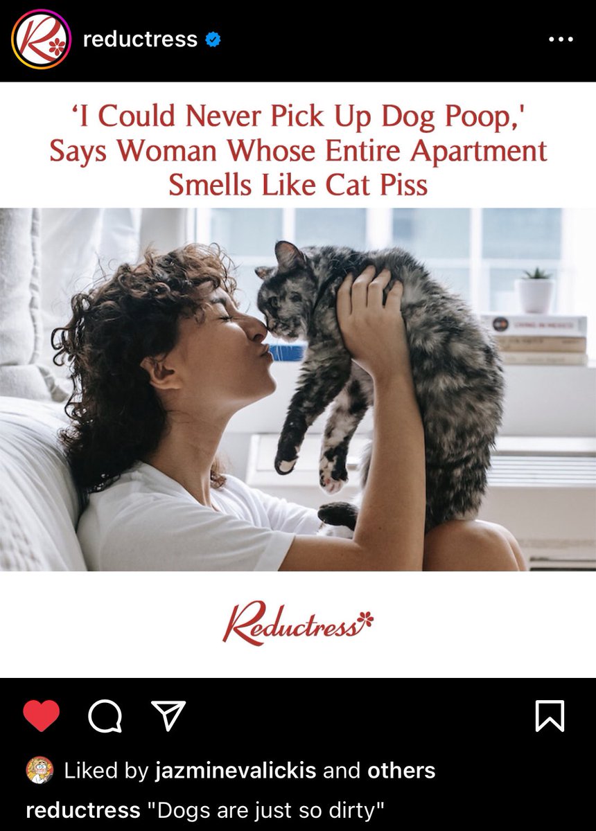 transgemder's tweet image. lmao