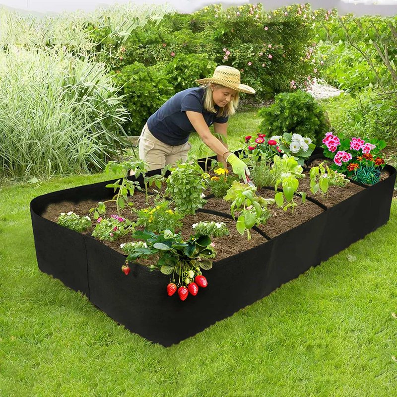 JonArauzo's tweet image. 30% OFF
Felt Multi-grid Rectangular Planting Bag Vegetable Split Planting Bag Green Growing Garden Flowerpot Beautiful Planting Bag
Click here now:
s.click.aliexpress.com/e/_DdhoujP
#large #rectangular #fabric #planting #growing #container #gardening #products #forsale #discounts…