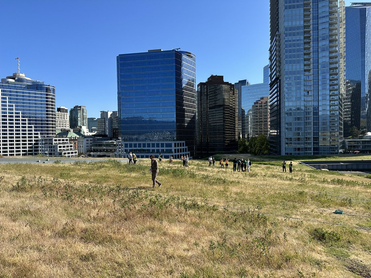 The first batch of many more photos. 

This was a World Green Roof Day for the books! Thank you to the VCC, our dedicated staff, and the overwhelming support from attendees. 

For those who wanted to join but missed today- this is the first of many more.
#WGRD2023