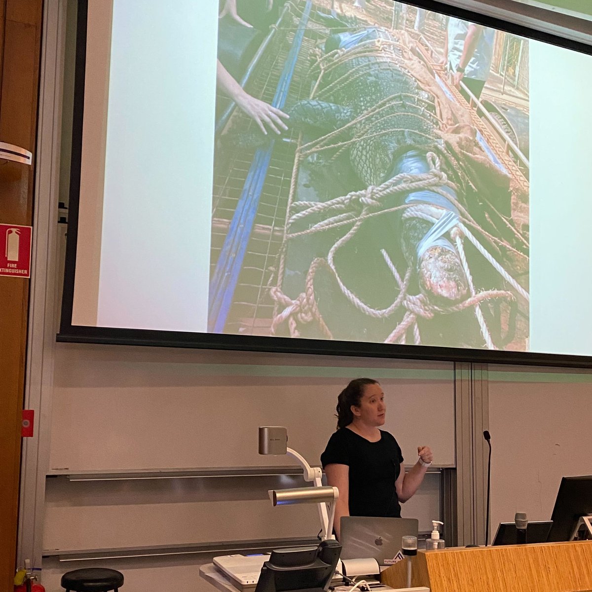 Klementine Burrell-Sander tweet media