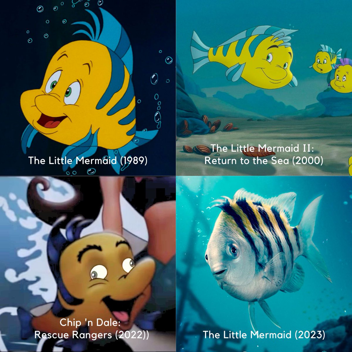 The evolution of Flounder. 🐟