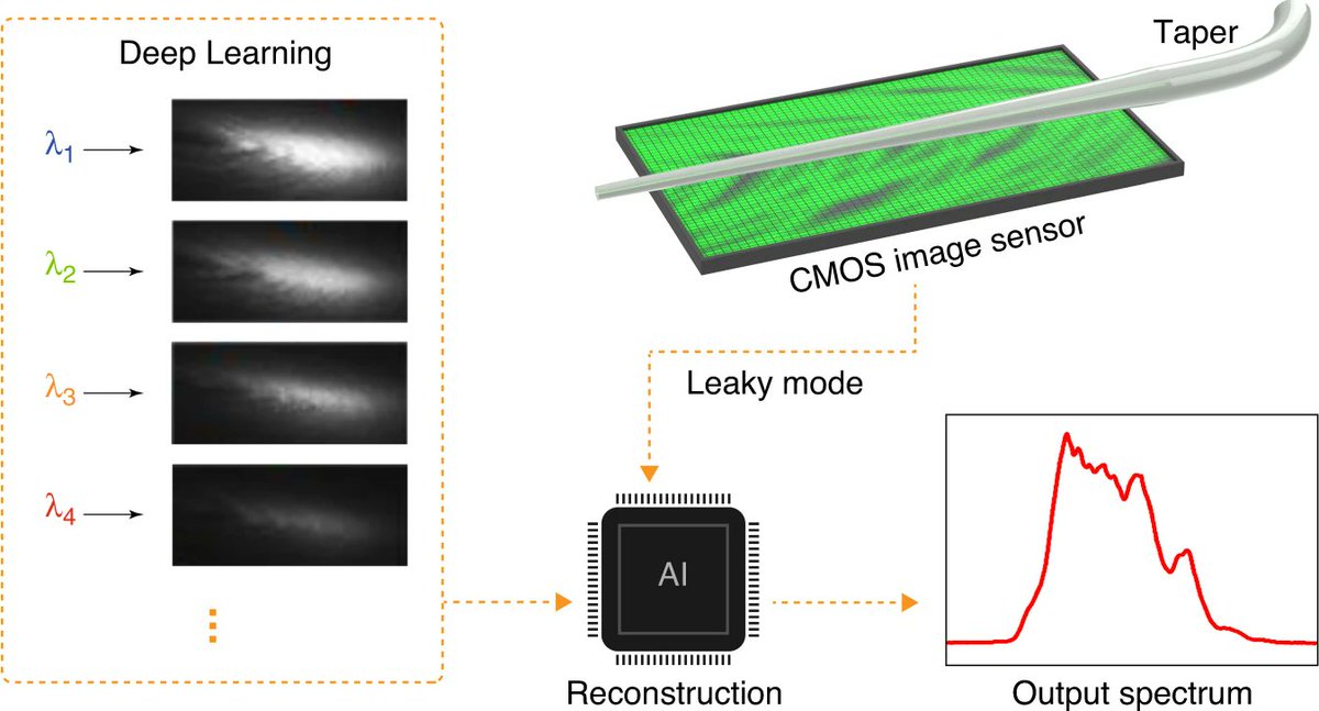 #LSA_Highlight: [News &amp; Views] Reconstructive spectrometers taper down in price. <a href="/AaltoUniversity/">Aalto University</a> #Fibre_optics_and_optical_communications #Optical_spectroscopy
nature.com/articles/s4137…