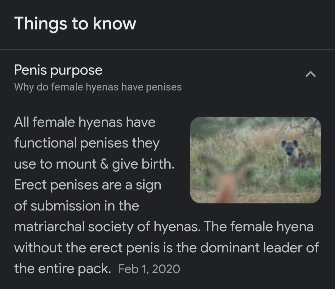 wait until the transphobes find out about hyenas