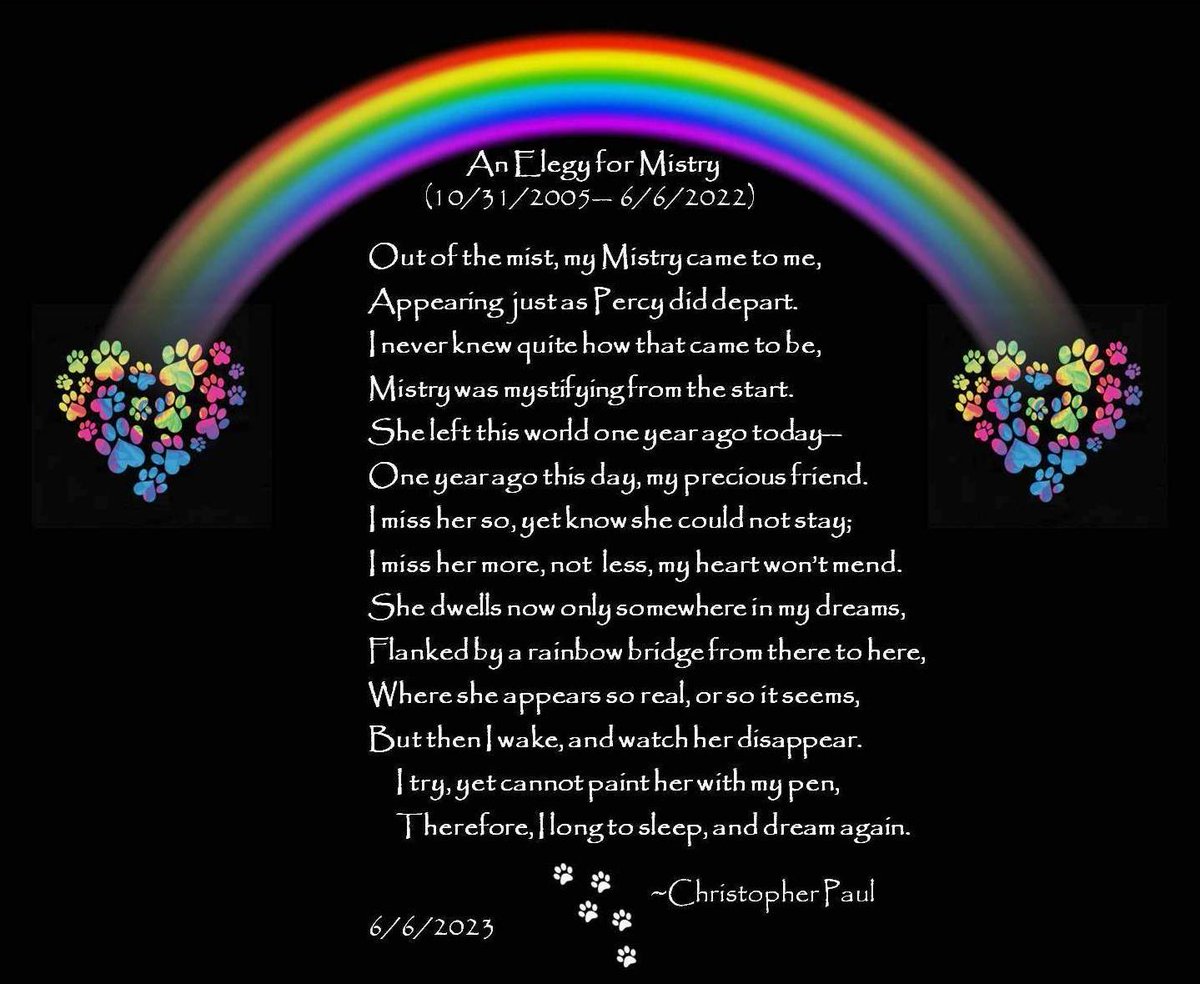 XopherPaul's tweet image. Anniversaries can be hard...
Mistry (10/31/05 - 6/6/22) 💔🐈‍⬛️❤️‍🩹🐾🌈🦋