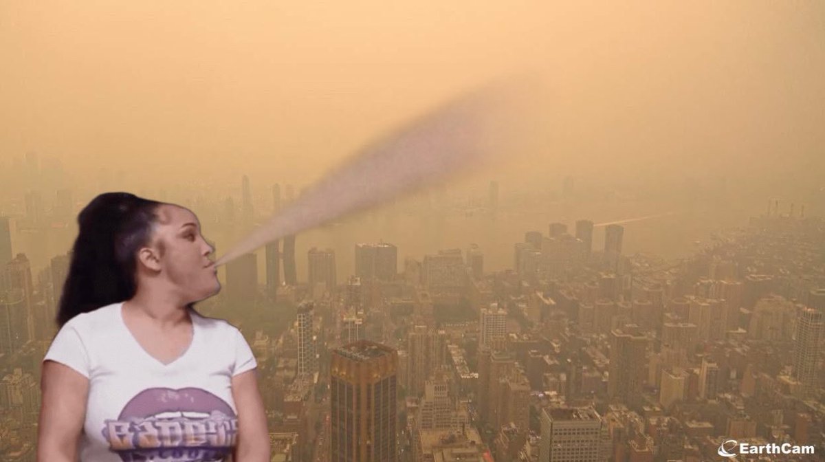 willfulchaos's tweet image. 