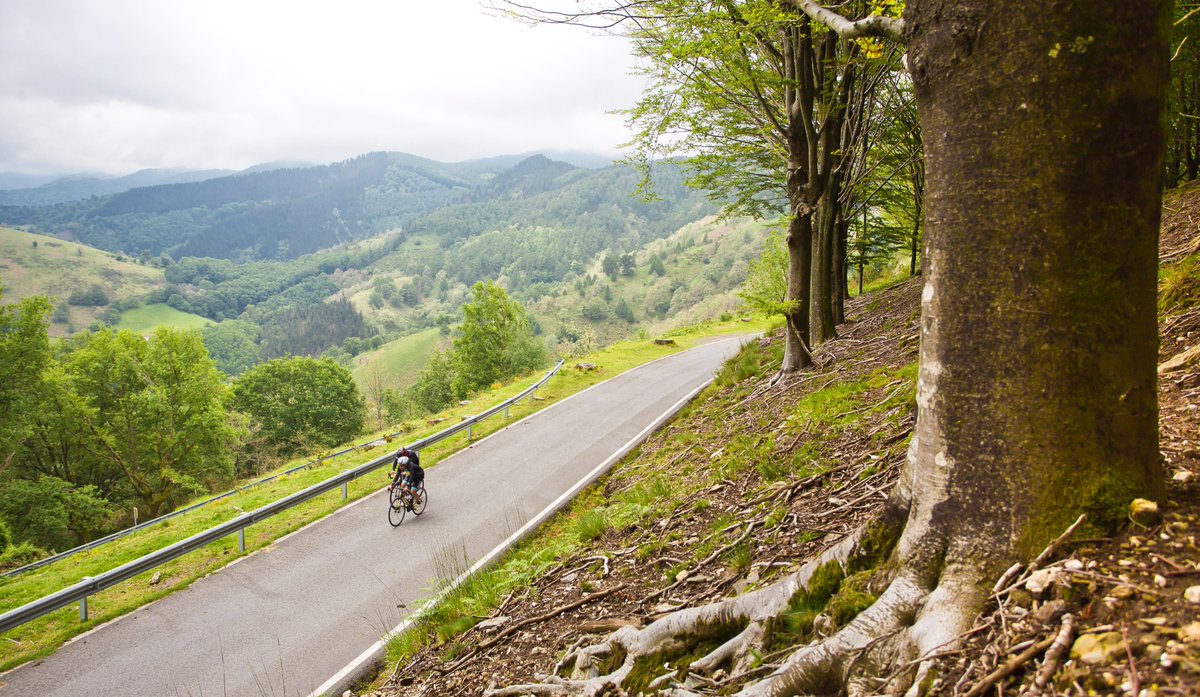 XII MARCHA JUANMA GARATE tweet media