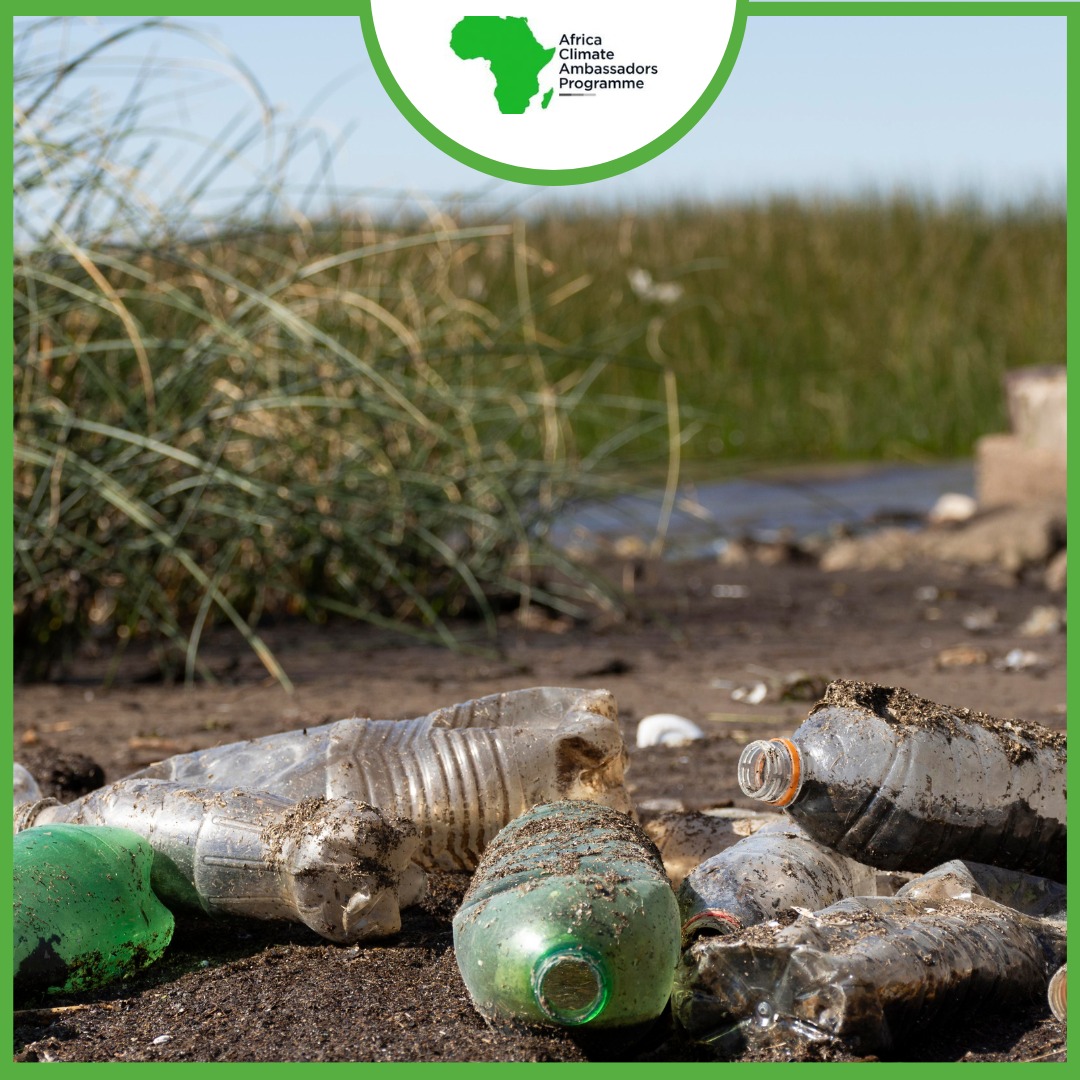 Microplastics are everywhere, even in the air we breathe! 😮 Let's combat plastic pollution by choosing products with eco-friendly packaging and supporting companies that prioritize sustainability. 🌍 #MicroplasticsAwareness #EcoChoices #EnvironmentalConservation #GreenTeamAfrica