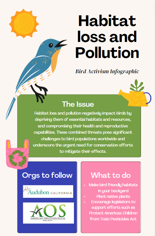 RScholin42753's tweet photo. #39canimals Here's an infographic I made on bird habitat loss and pollution https://t.co/NMNncq7XIF