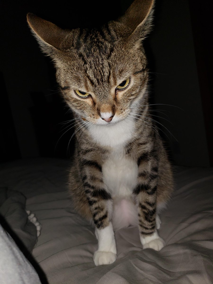 HumTinky's tweet image. don,t makig me.  , agrey.!