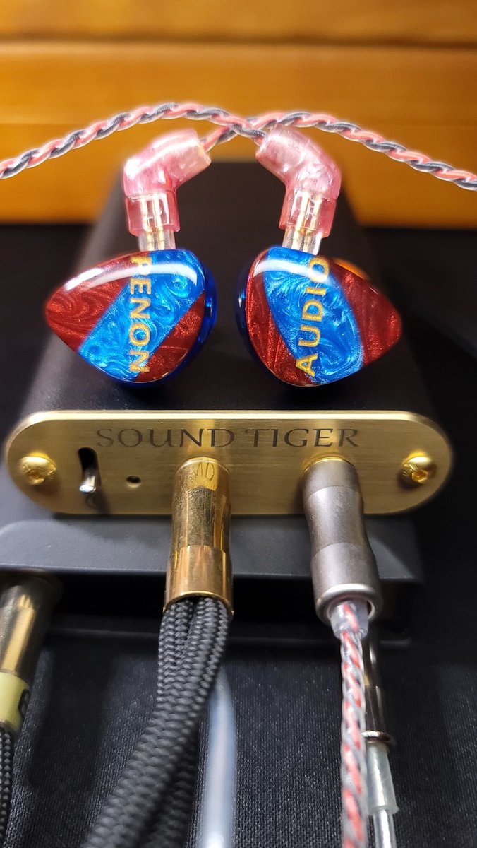 s2kphile's tweet image. @PenonAudio 10thAE, @chiacchiere_ Sound Tiger, and @wagnus_official Bloodmoon kind of night...

#Penon #PenonAudio #10thAE #UtsusmeiWorks #SoundTiger #Wagnus #BloodMoon #IEM #PortaFi #HiFi