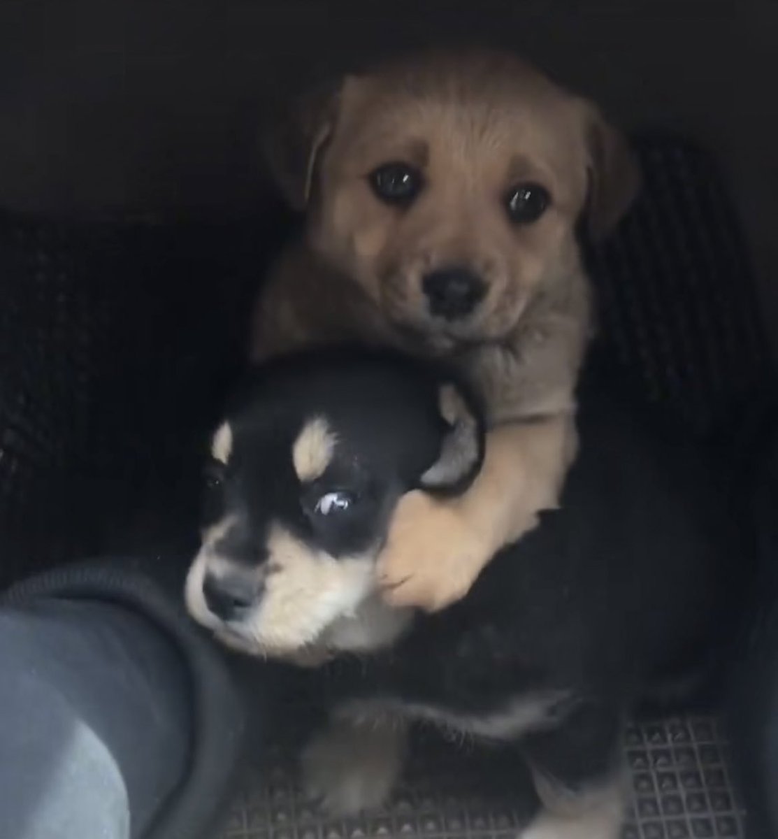 ห้ามมองคนที่เราชอบดิไอ้ม๋าดำ